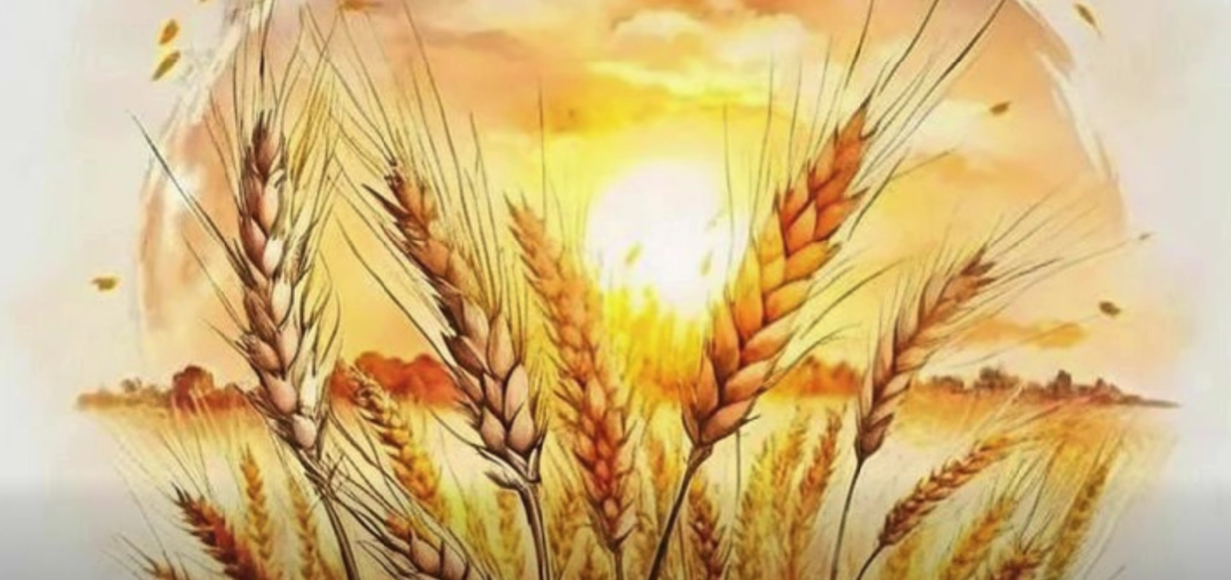 „Pâinea cea de toate zilele” - Grupa mare „Albinuța”