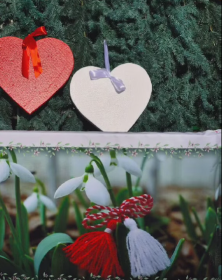 Captură de ecran 2026-03-25 175856.png