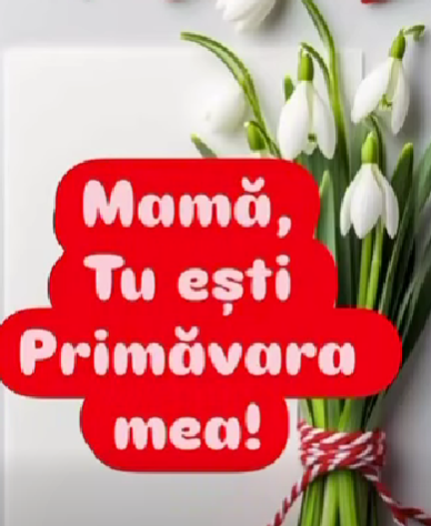 Captură de ecran 2026-03-25 194704.png