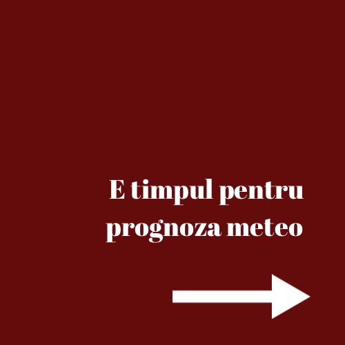 670369400_18085276901370028_7193498665678542145_n.jpg