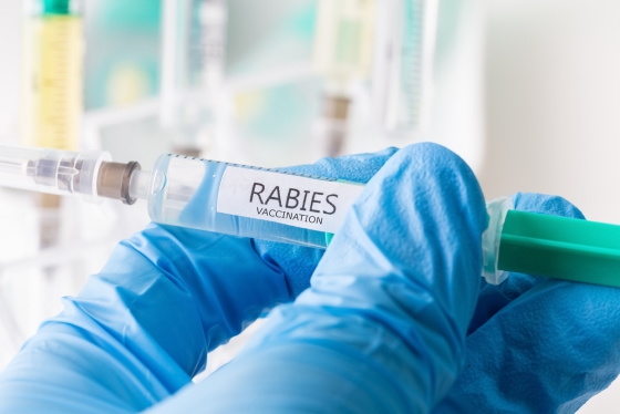 Rabie-ce-presupune-vaccinul.jpg